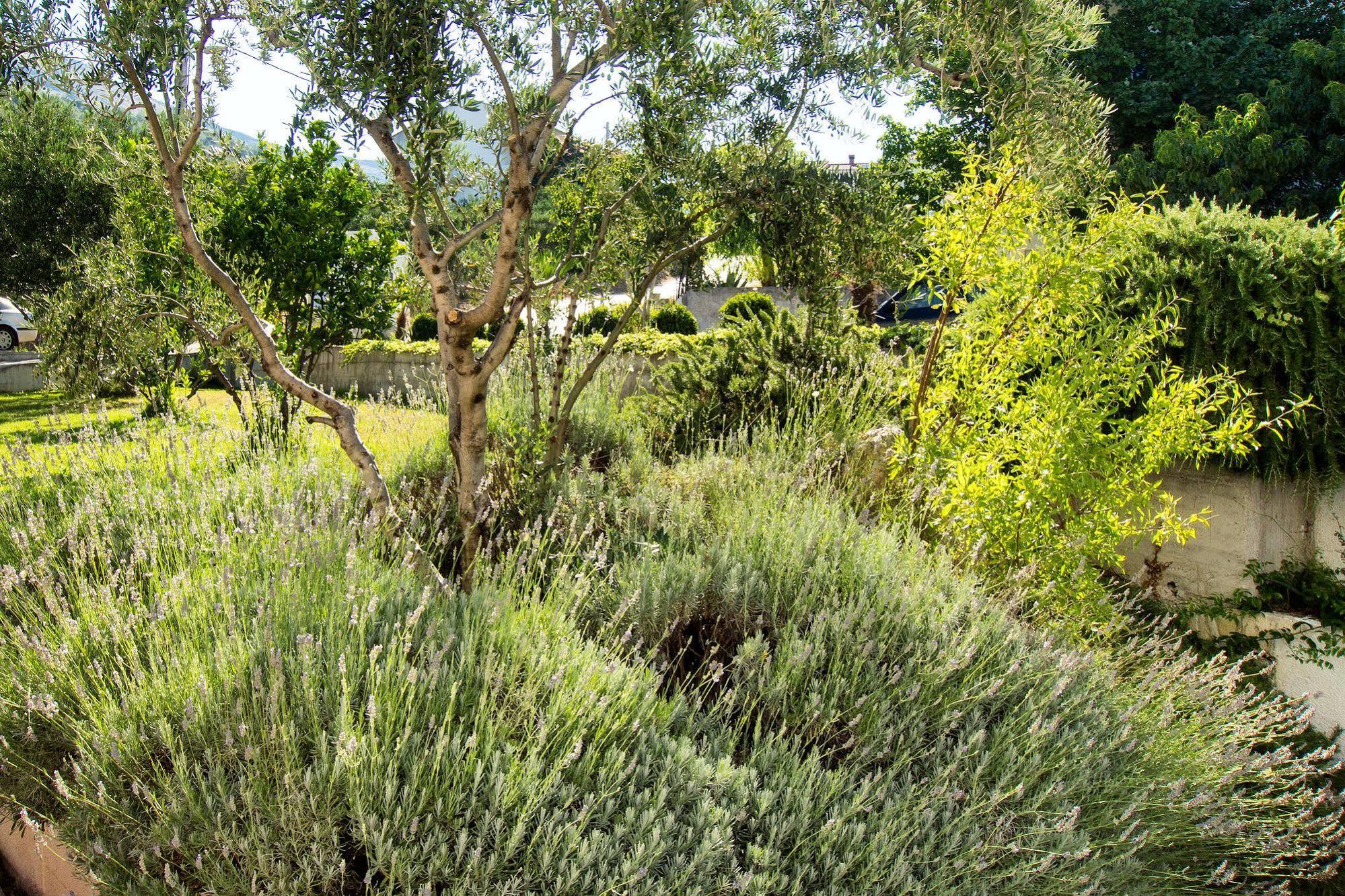 Villa Lavanda Podstrana Exterior photo